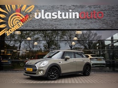 MINI One - 1.5 Business Edition , Carplay, Cruise control, Navigatie,
