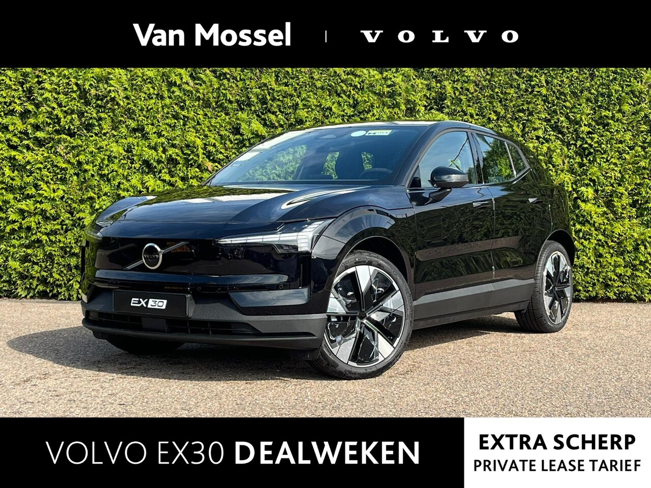 Volvo EX30 - Single Motor Extended Range Plus 69 kWh | nieuw uit voorraad | LAAGSTEPRIJS garantie - AutoWereld.nl
