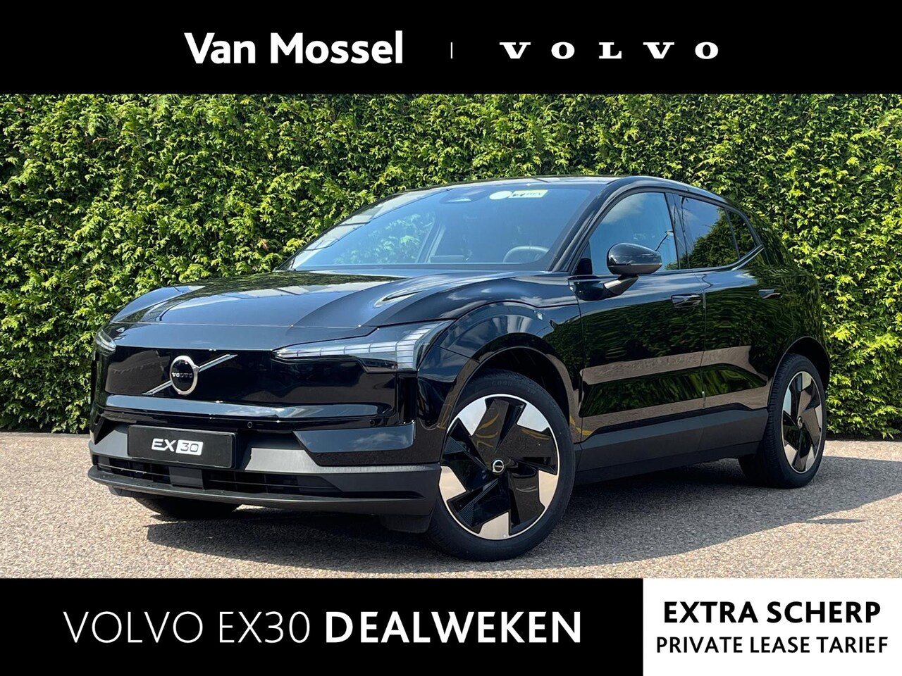 Volvo EX30 - Single Motor Extended Range Plus 69 kWh | Getinte Ramen | Nieuw uit voorraad | - AutoWereld.nl