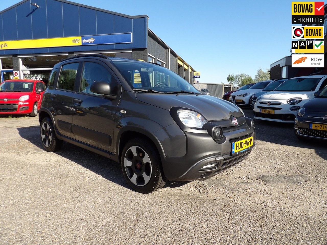 Fiat Panda - 1.0 Hybrid City Cross / Rijklaarprijs - AutoWereld.nl