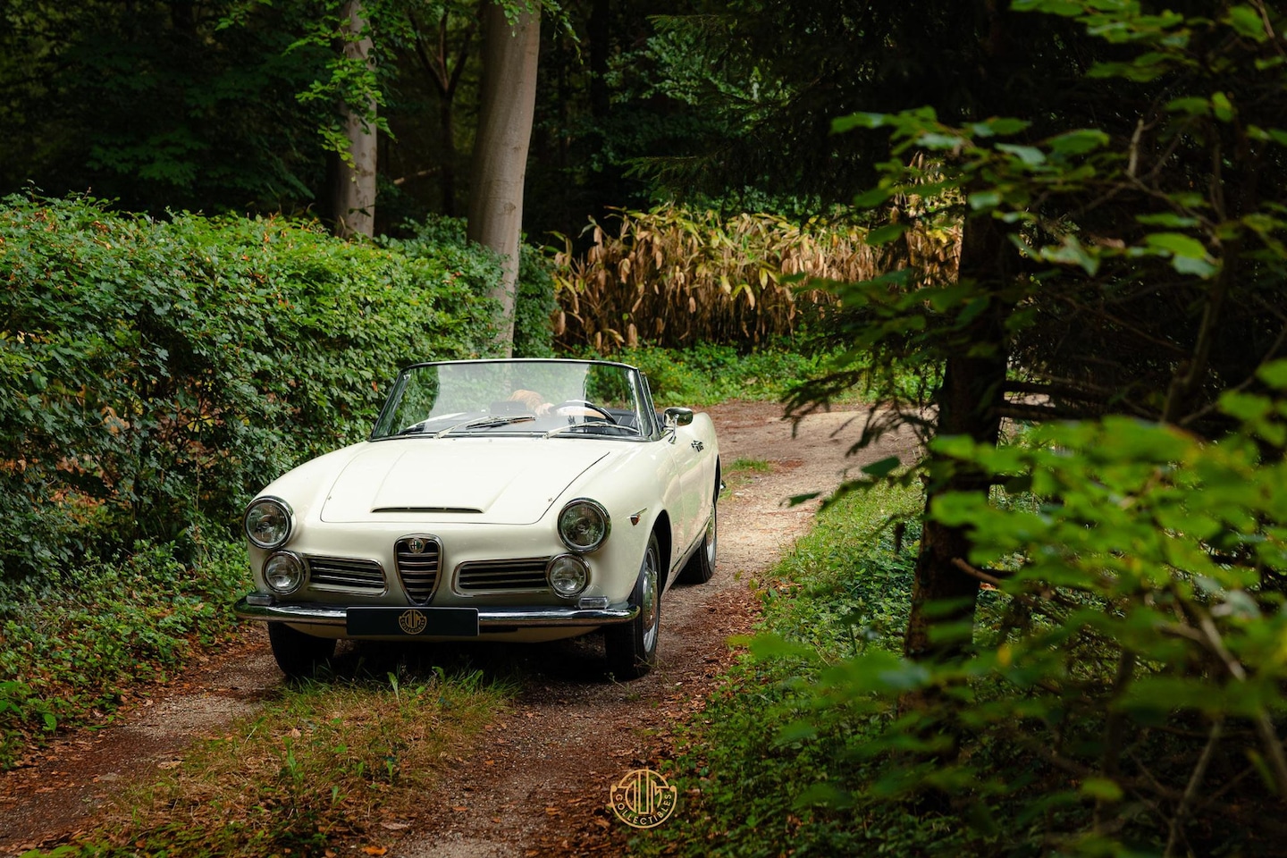 Alfa Romeo 2600 Spider - AutoWereld.nl