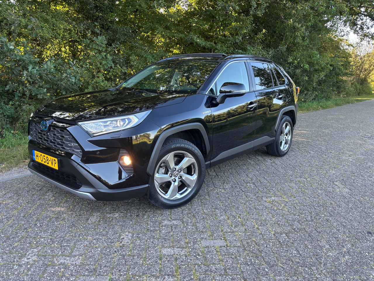 Toyota RAV4 - 2.5 Hybrid Executive PANO, Trekhaak, Stoelverw/ventilatie, etc - AutoWereld.nl