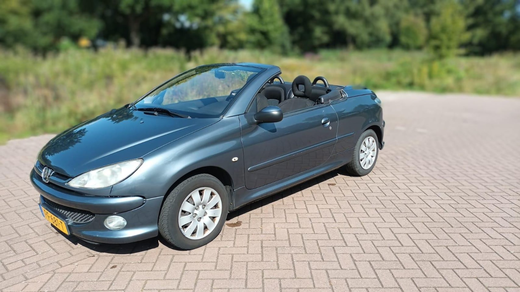Peugeot 206 CC - 1.6 climate control, lm velgen, APK 04-2026! - AutoWereld.nl