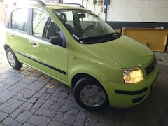 Fiat Panda - 1.2 Dynamic