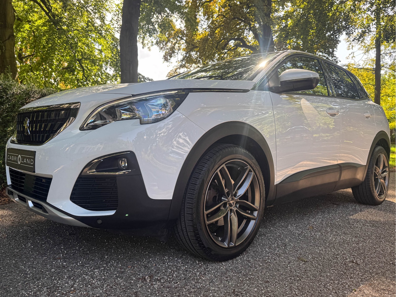 Peugeot 3008 - 1.2 PureTech, Gereviseerde motor + nieuwe distributie - AutoWereld.nl