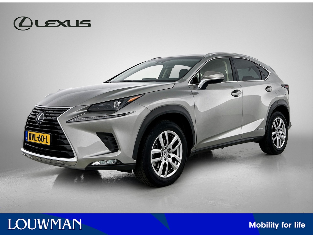 Lexus NX - 300h AWD Luxury Line | Leer | Stoelverwarming | Elektrische Achterklep | - AutoWereld.nl