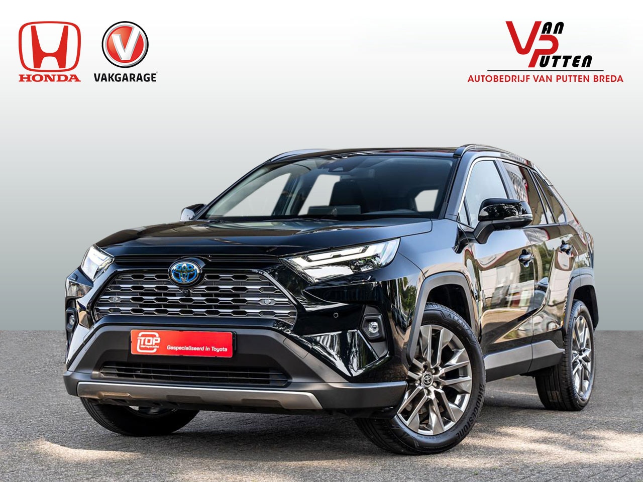 Toyota RAV4 - 2.5 Hybrid AWD Executive Automaat | Adaptieve Cruise Control | Zwart leder | PDC voor en a - AutoWereld.nl