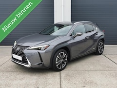 Lexus UX - 250h Executive Line Mark-Levinson 360cam