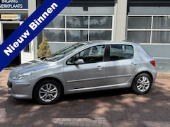 Peugeot 307 - 1.6-16V XS Automaat Luxe uitvoering 2006 leuk beginners auto