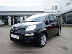 Fiat Panda - 1.0 Hybr. City Rijklaarprijs incl. 12MND Bovag garantie