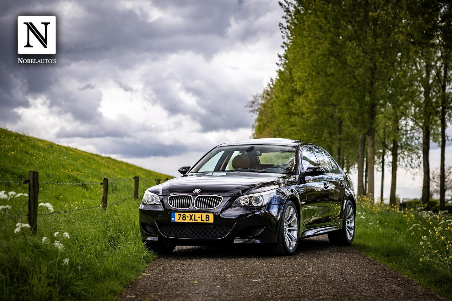 BMW M5 - 5-serie - AutoWereld.nl