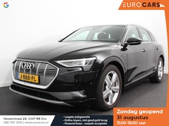 Audi e-tron - e-tron 50 quattro Launch edition Navigatie Climate Control Parkeer Sensoren Lichtmetalen v