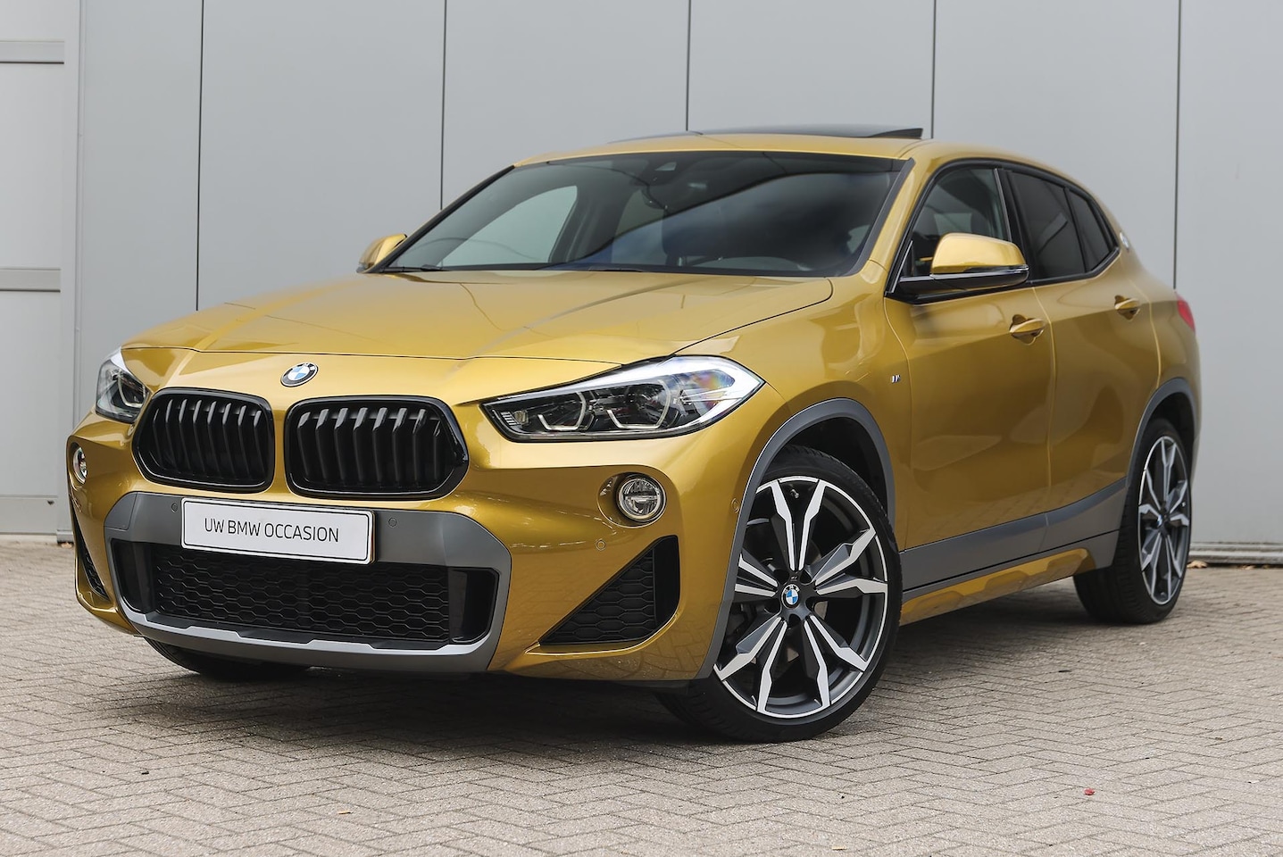 BMW X2 - sDrive20i High Executive M Sport Automaat / Panoramadak / Sportstoelen / Achteruitrijcamer - AutoWereld.nl