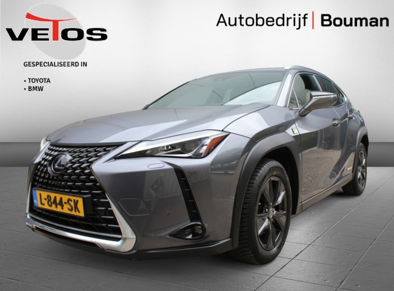 Lexus UX - 250h Business Line BSM / Navigatie / PDC - AutoWereld.nl