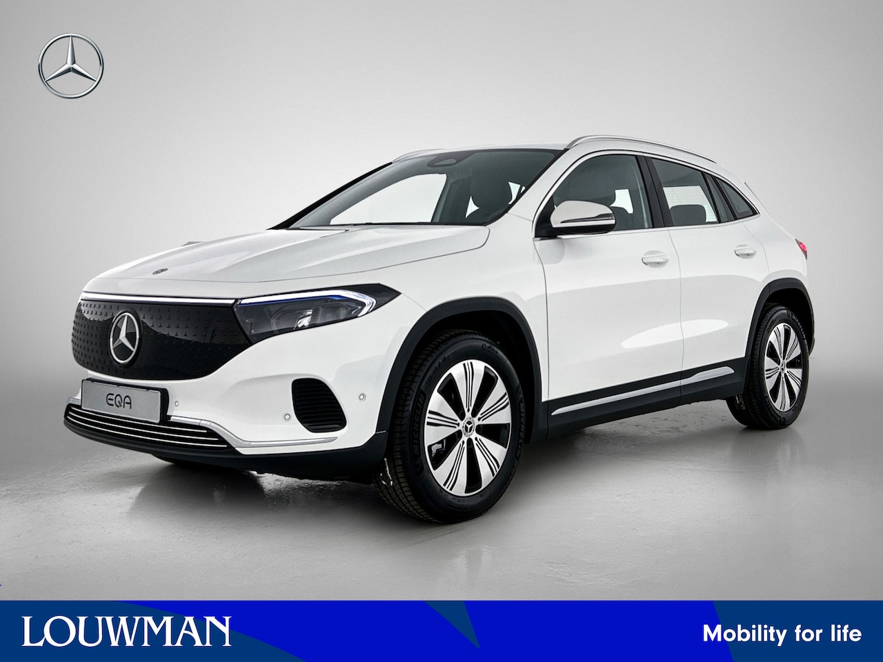 Mercedes-Benz EQA - 250+ Business Solution 71 kWh | Stoelverwarming voor | Sfeerverlichting | EASY PACK achter - AutoWereld.nl