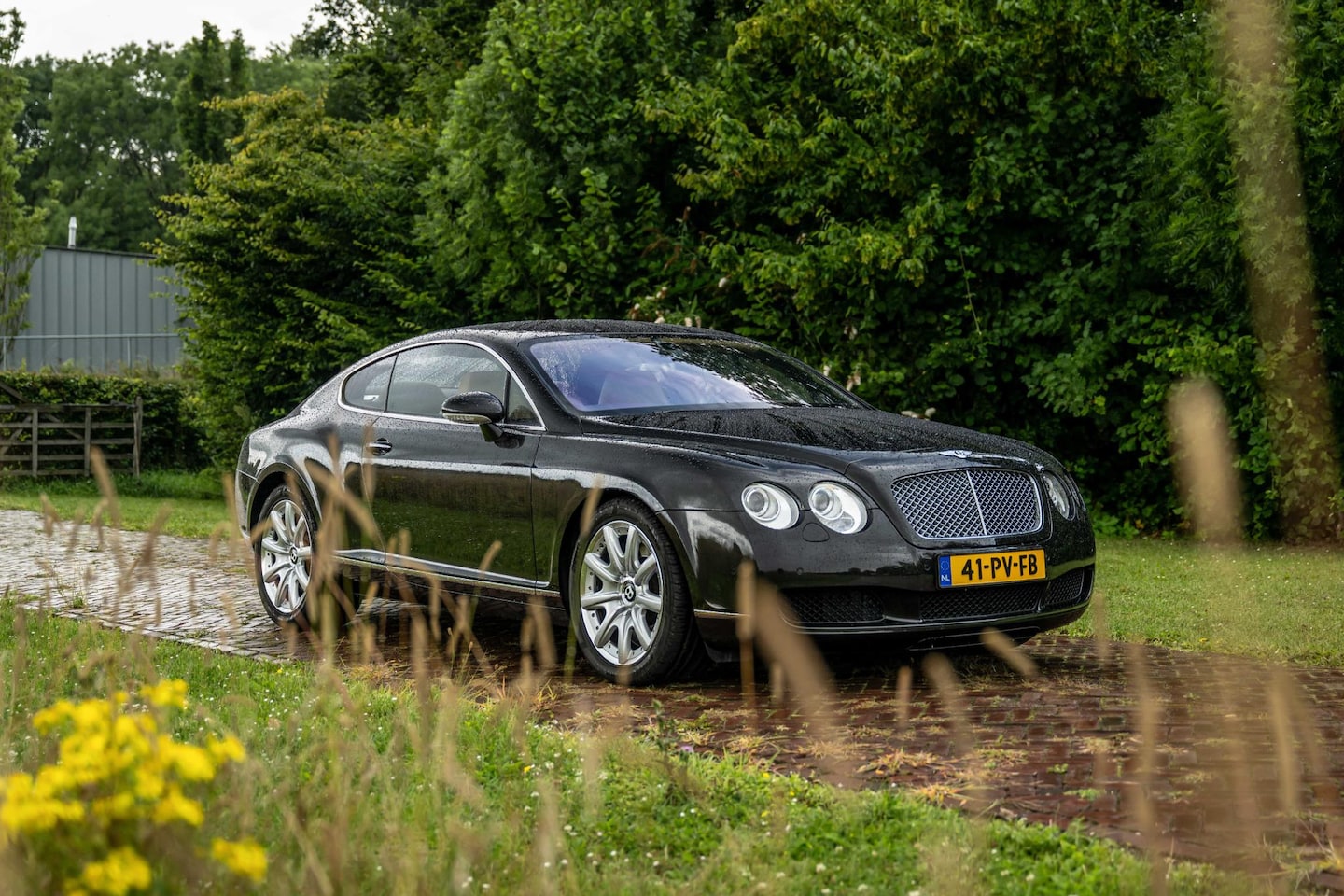 Bentley Continental GT - 6.0 W12 NL Auto Aut. Leder Luchtvering Bentley Continental GT 6.0 W12 - AutoWereld.nl