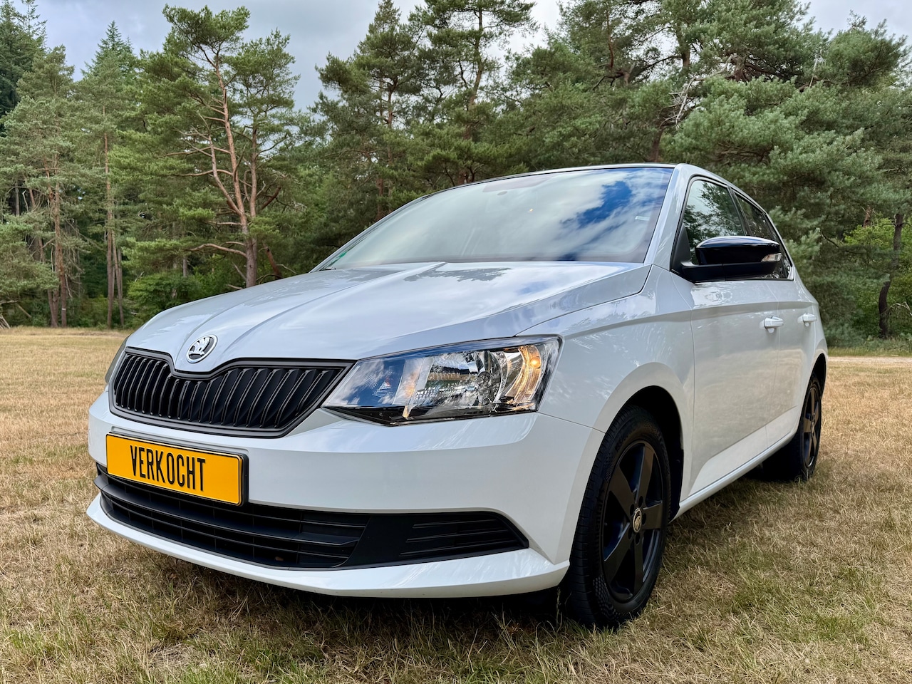Skoda Fabia - 1.0 Active Trekhaak Nieuw onderhoud - AutoWereld.nl