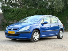 Peugeot 307 - 1.6-16V XT/AUTOMAAT/ZEER NETJES