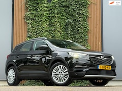 Opel Grandland X - 1.6 Turbo Innovation Trekhaak 181PK