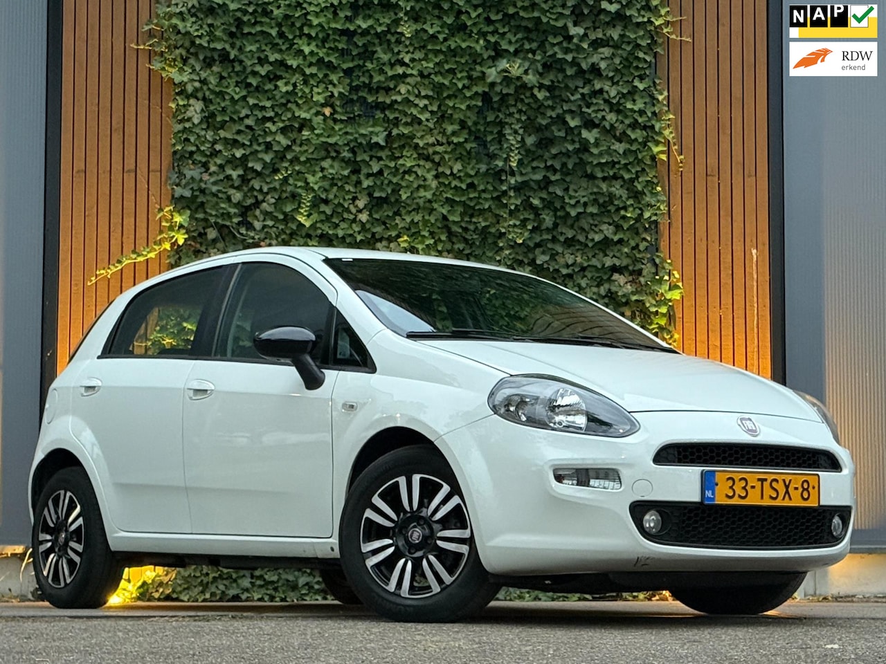 Fiat Punto Evo - 0.9 TwinAir Pop |AIRCO|ECC|5-DEURS|NAP - AutoWereld.nl