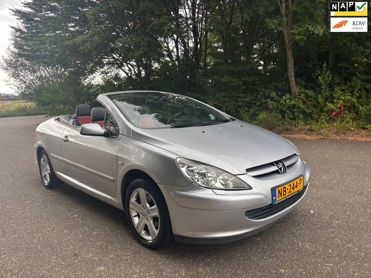 Peugeot 307 CC - 2.0-16V | Leder | APK 01-2026 - AutoWereld.nl