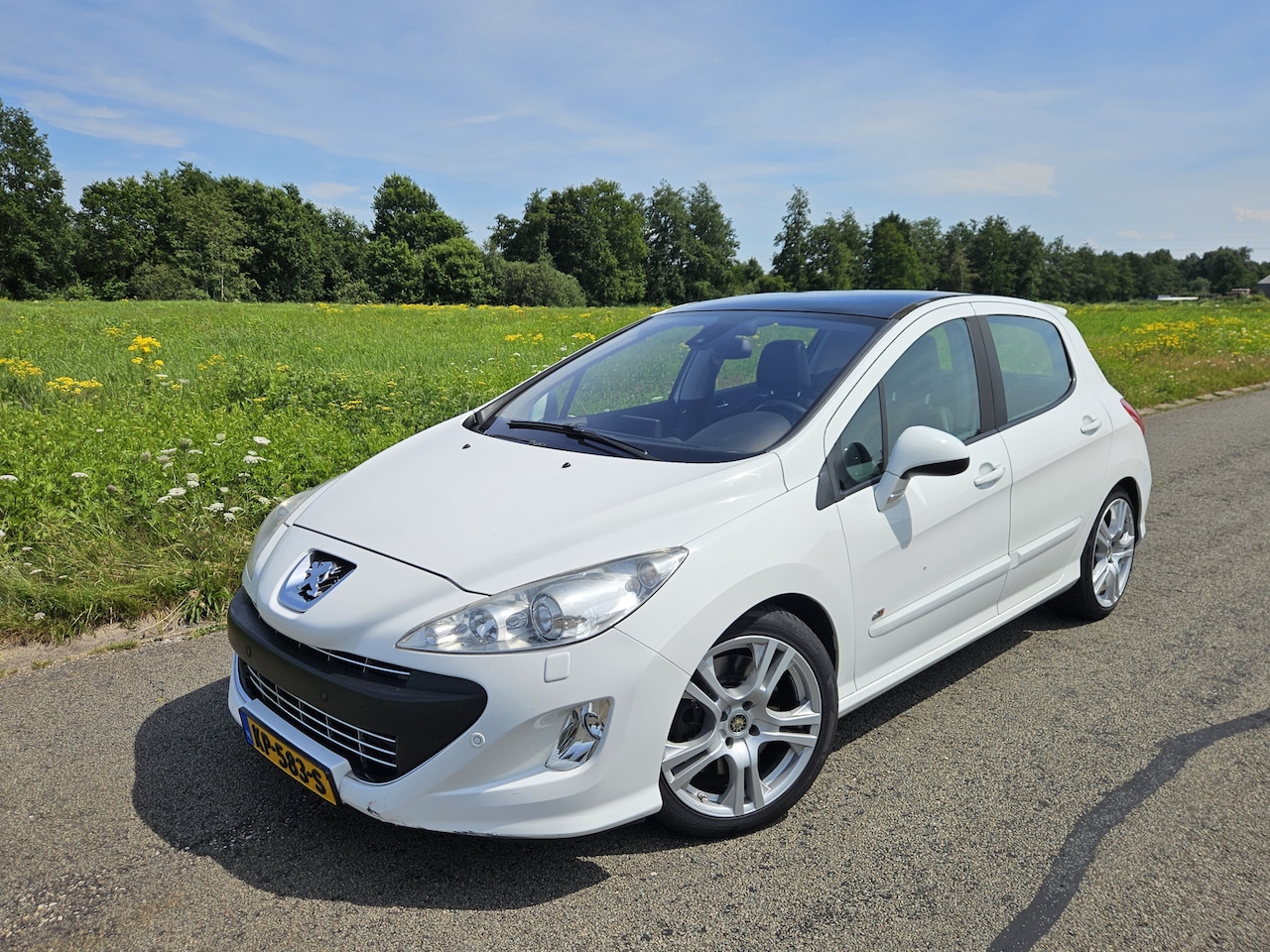 Peugeot 308 - 1.6 THP GTi 1.6 THP GTi - AutoWereld.nl