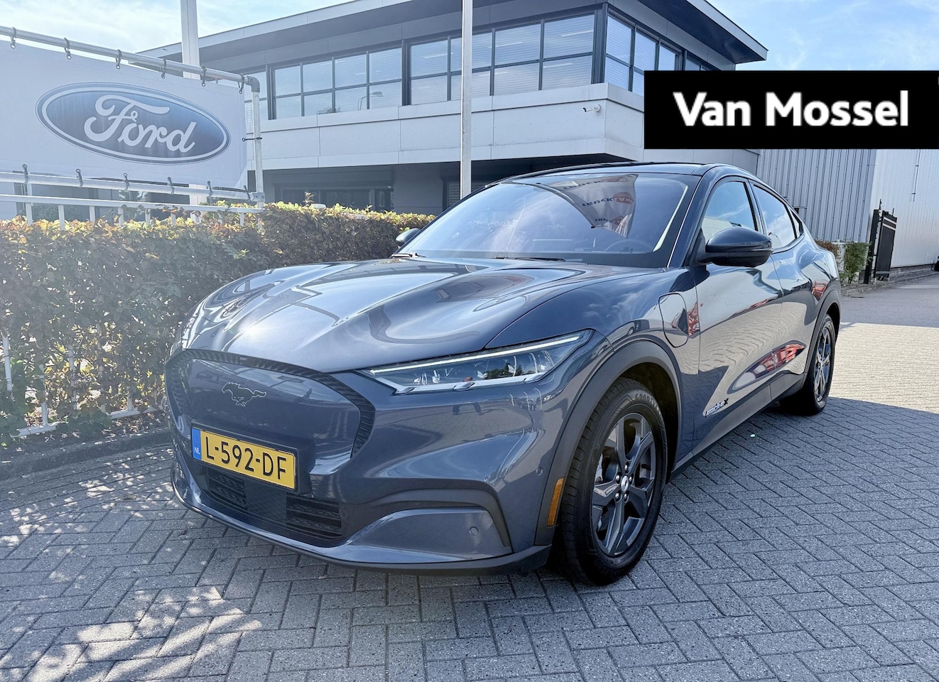 Ford Mustang Mach-E - Extended RWD 98 kWh Technology Pack Plus | Panorama dak | Elektr. A. Klep - AutoWereld.nl