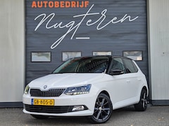 Skoda Fabia - 1.2 TSI First Edition Ambition |Clima|LED|Cruise|Apk 07-2026|