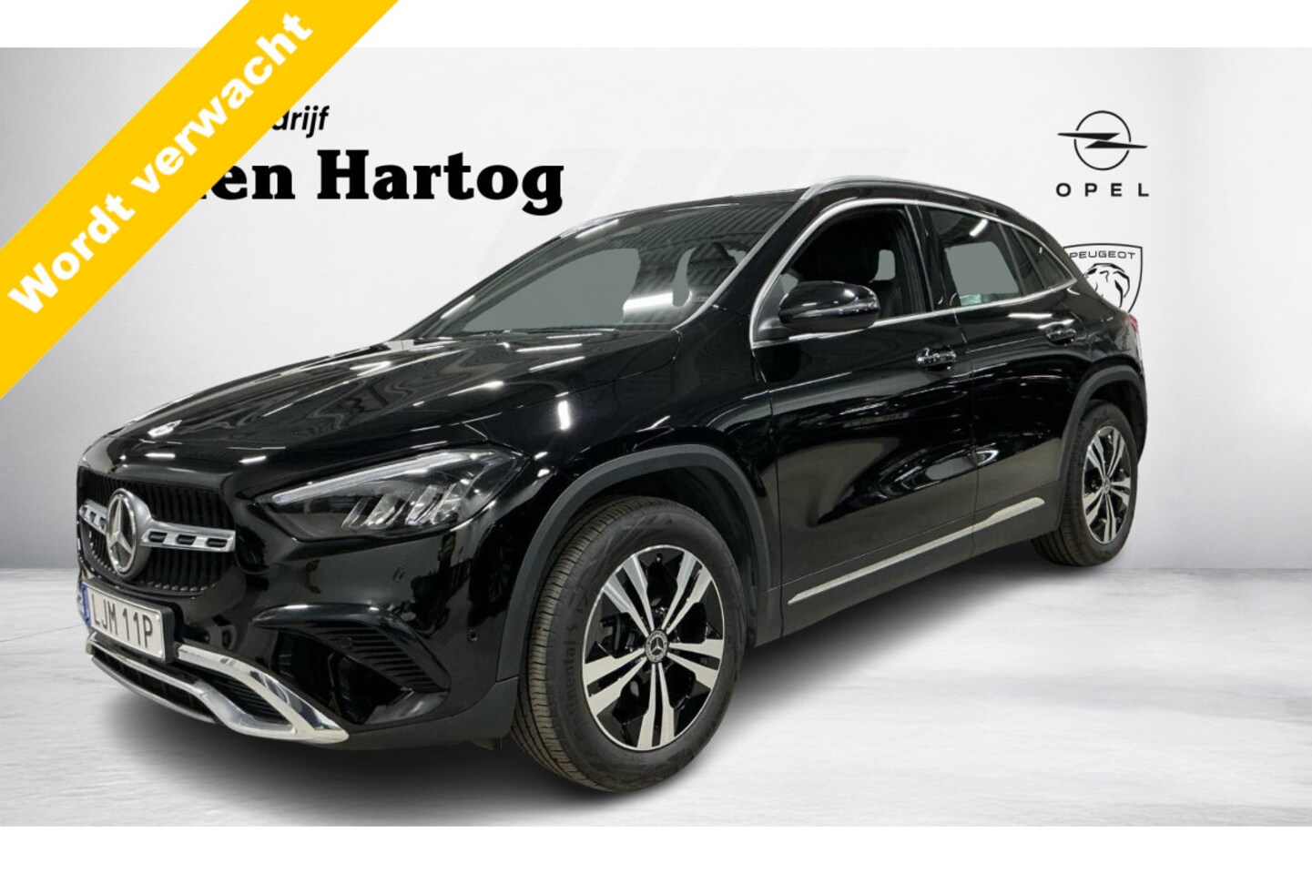 Mercedes-Benz GLA-Klasse - 250 e Business Line Stoelverwarming/Zomer+winter velgen/Camera/Navi groot. - AutoWereld.nl