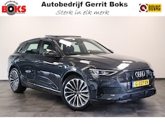 Audi e-tron - e-tron 55 quattro advanced 95 kWh S-line Panoramadak Leder