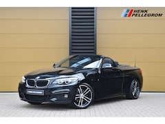 BMW 2-serie Cabrio - 220i High Executive * M Sportpakket * Navigatie Professional * HIFI * Leder * Leder