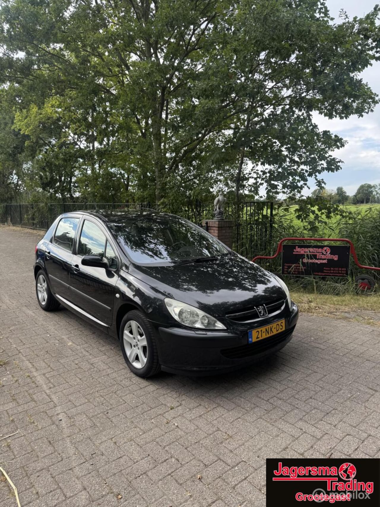 Peugeot 307 - 2.0-16V Gentry 2.0-16V Gentry - AutoWereld.nl