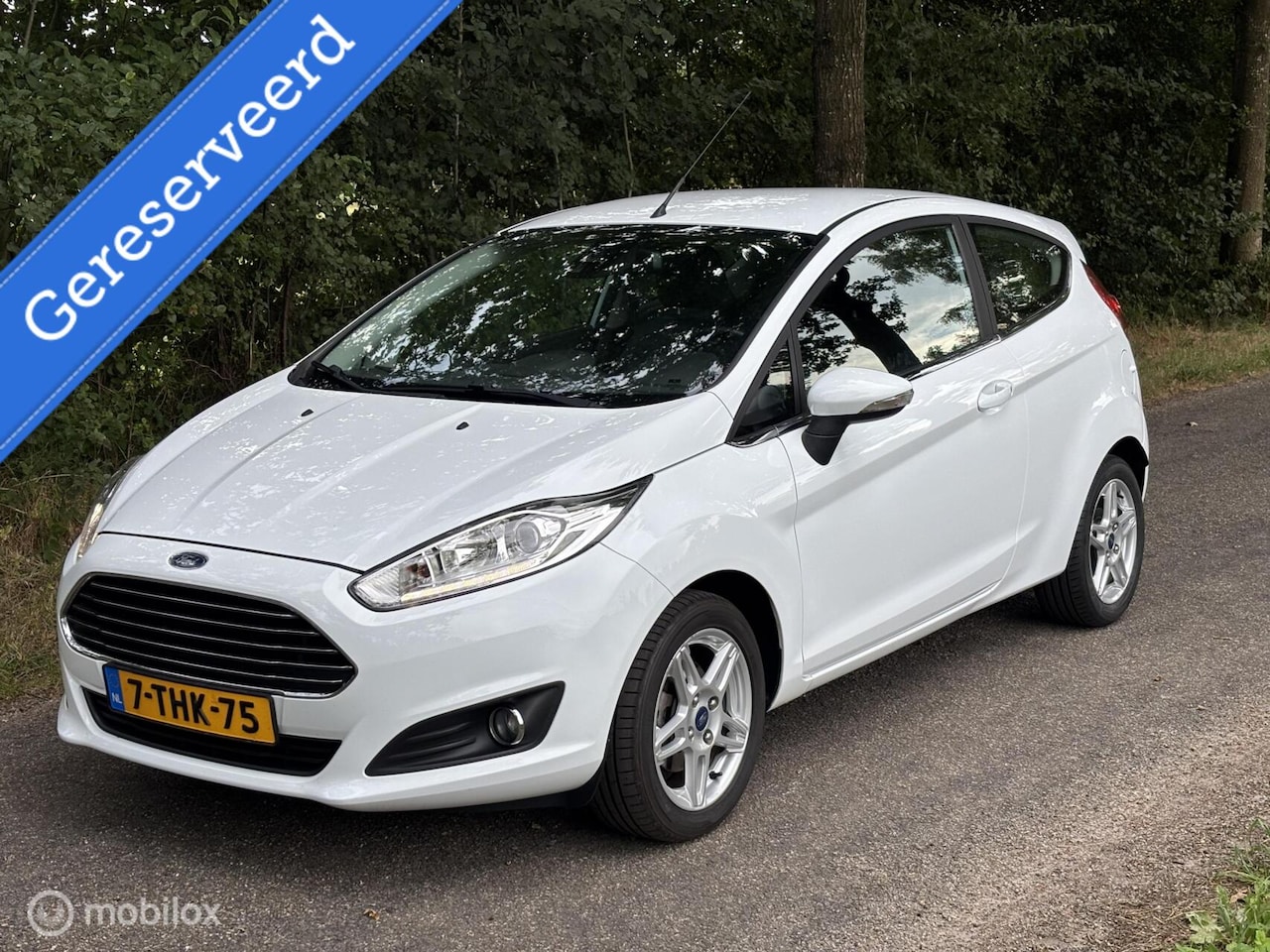 Ford Fiesta - 1.0 Titanium | 2014 | Navi | Leder | Stoelverwar - AutoWereld.nl