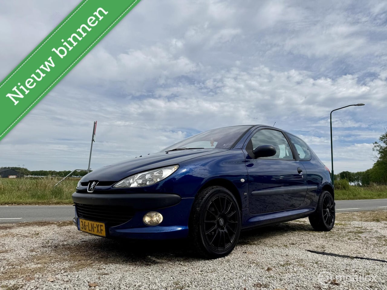 Peugeot 206 - 1.4 XS 1.4 XS, Airco, Leren interieur, 16 Inch Velgen - AutoWereld.nl