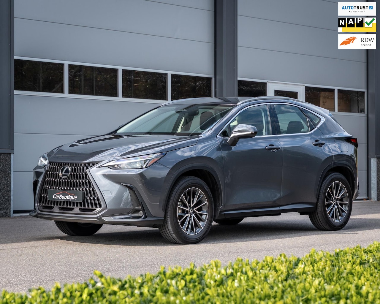 Lexus NX - 350h Business Line I BTW I Adaptive Cruise Control I Trekhaak I Camera I - AutoWereld.nl