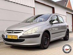 Peugeot 307 - 1.6-16V XS | APK 07/2026