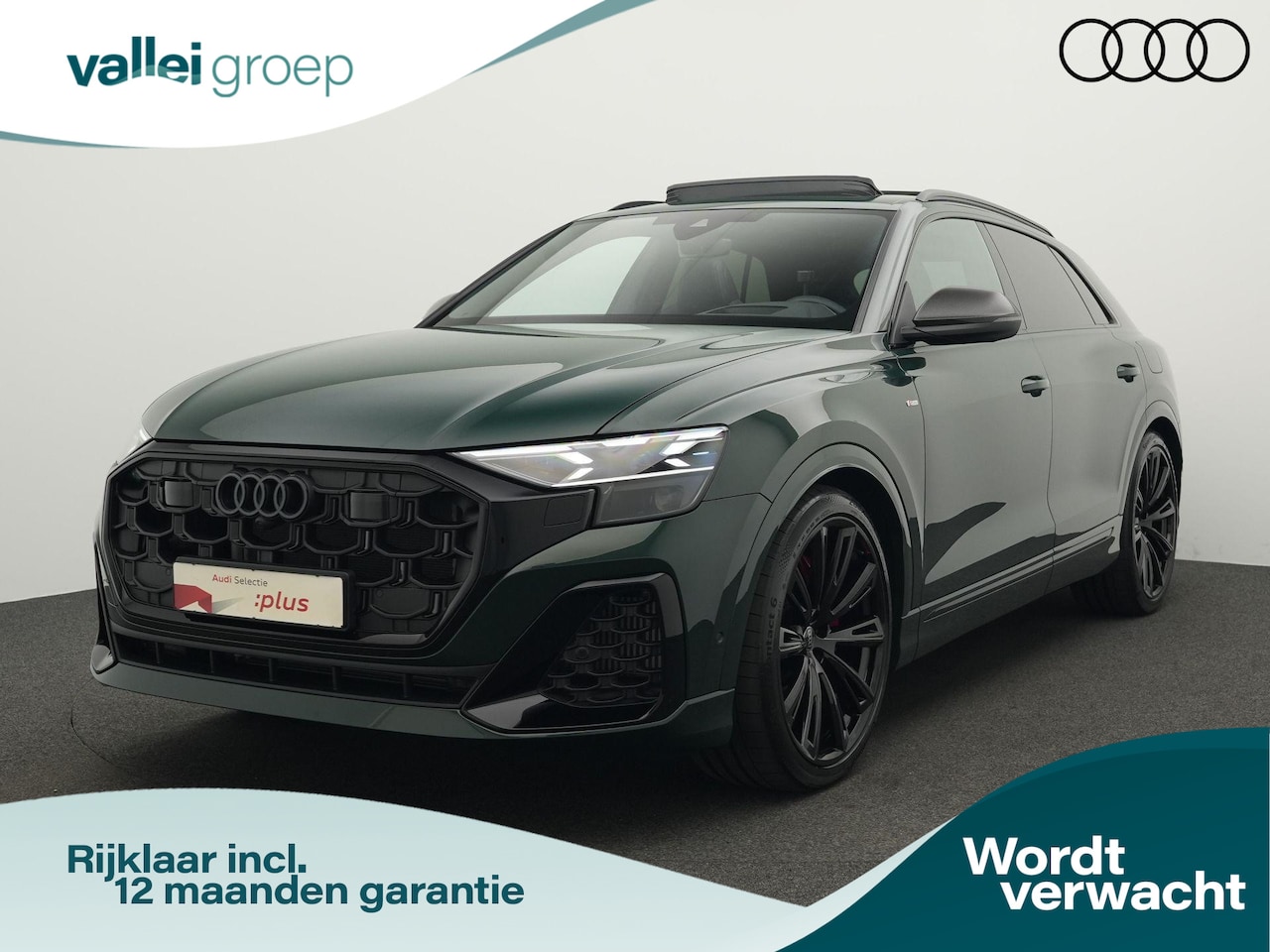 Audi Q8 - 60 TFSI e tiptronic quattro Pro Line S Competition | Goodwood Green(Audi Exclusive) | Pano - AutoWereld.nl