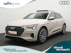 Audi e-tron - e-tron 55 95 kWh 408 pk quattro Advanced | Panoramadak | Trekhaak | Valcona leder | Servos