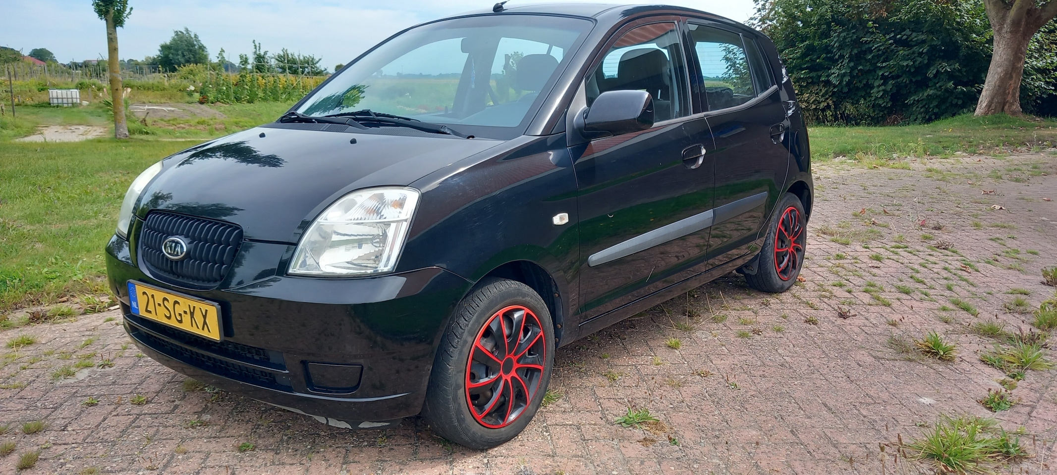 Kia Picanto - 1.0 LXE - AutoWereld.nl