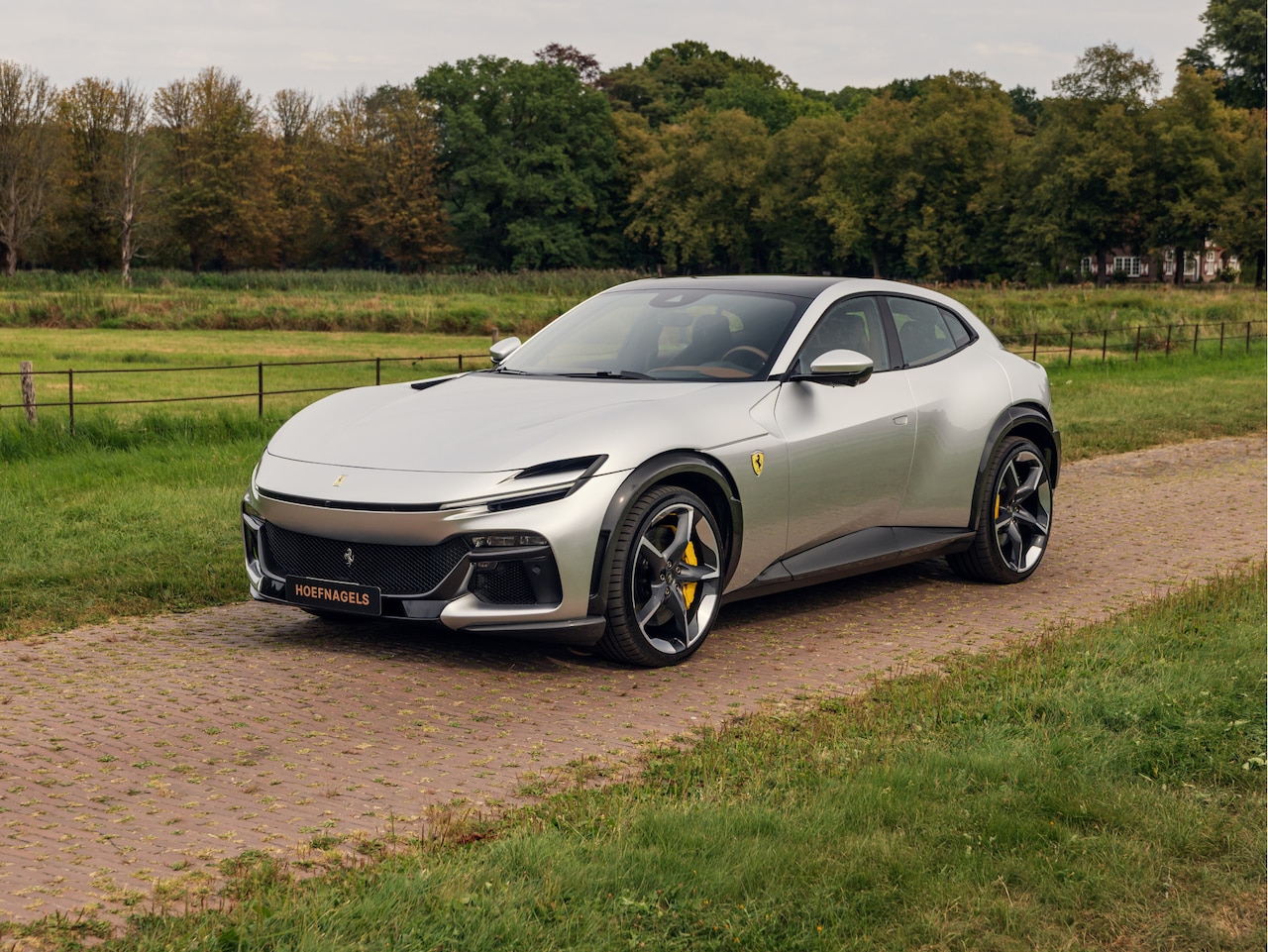 Ferrari Purosangue - 6.5 V12 6.5 V12, Paint to Sample SanuSilver, Full Carbon - AutoWereld.nl