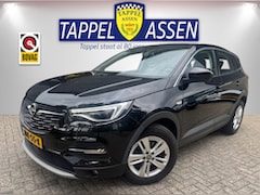 Opel Grandland X - 1.2 Turbo Business Edition