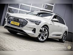 Audi e-tron - 50 quattro Business edition Plus SIAM PANO Origineel NL