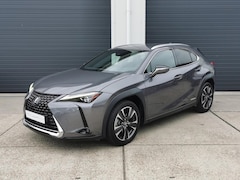 Lexus UX - 250h Executive Line Mark-Levinson 360cam