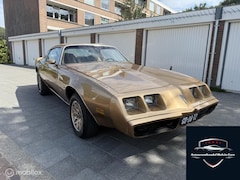 Pontiac Firebird - 4.9 FT 87 Esprit 1980
