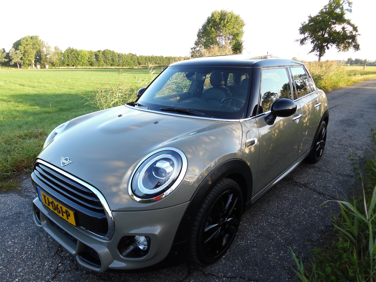 MINI Mini - 1.5 Cooper JCW pakket - AutoWereld.nl
