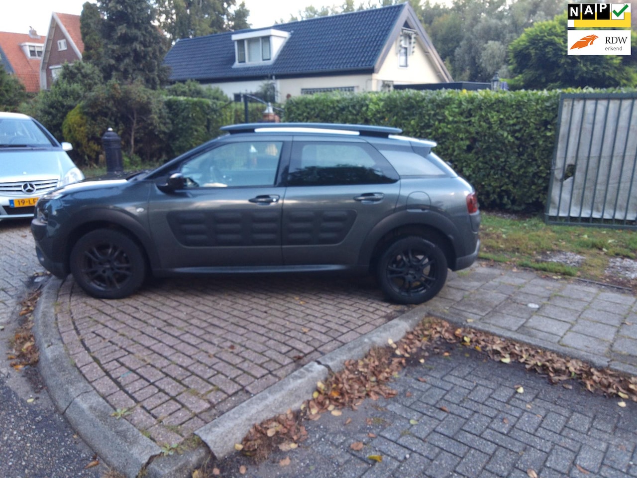 Citroën C4 Cactus - 1.2 PureTech Business 1.2 PureTech Business - AutoWereld.nl