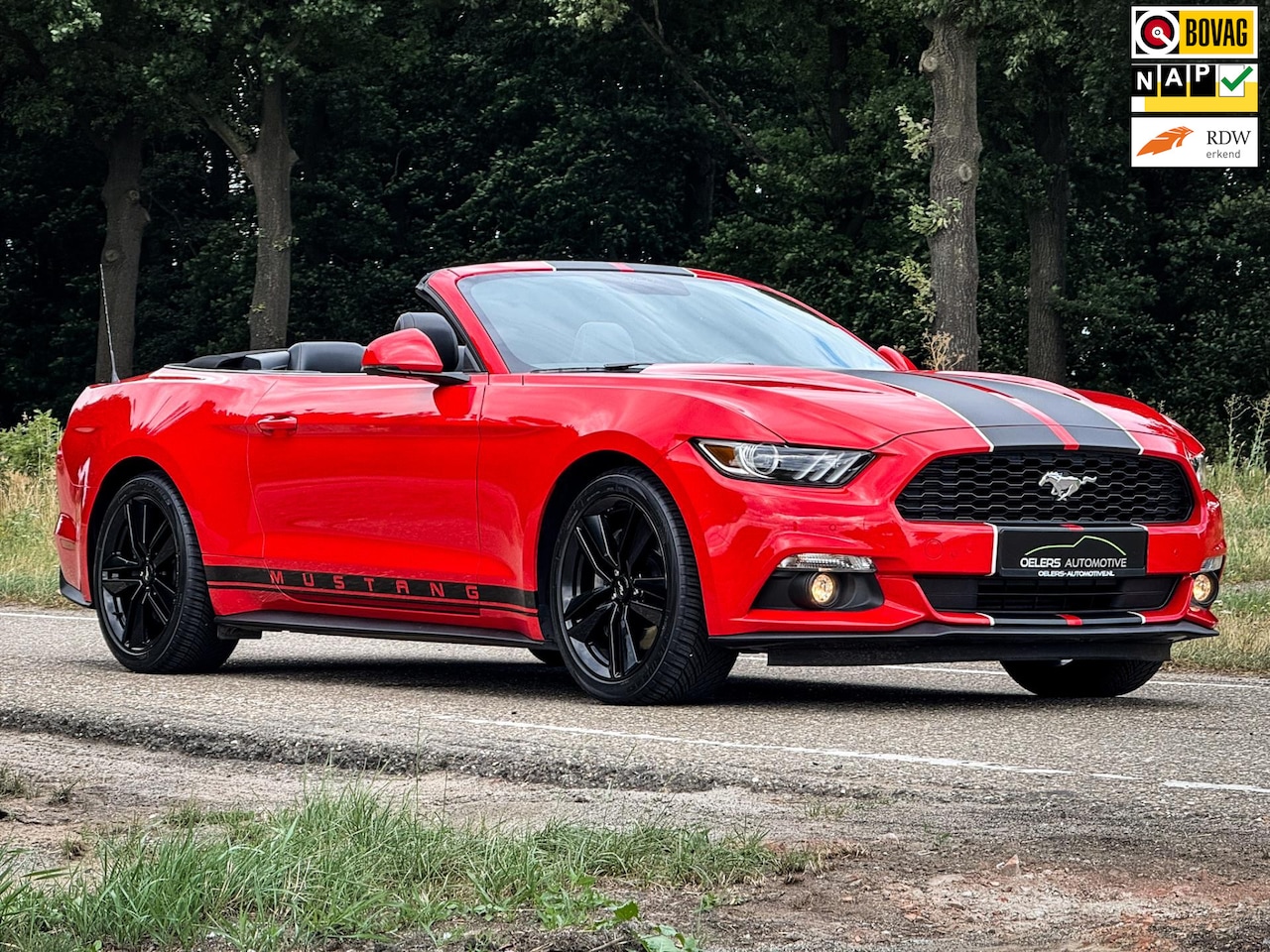 Ford Mustang Convertible - 2.3 EcoBoost | 1e eig. | Europees | Clima | Cruise | Navi | Stoelventilatie | Leder | PDC - AutoWereld.nl