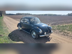 Volkswagen Kever - 1303