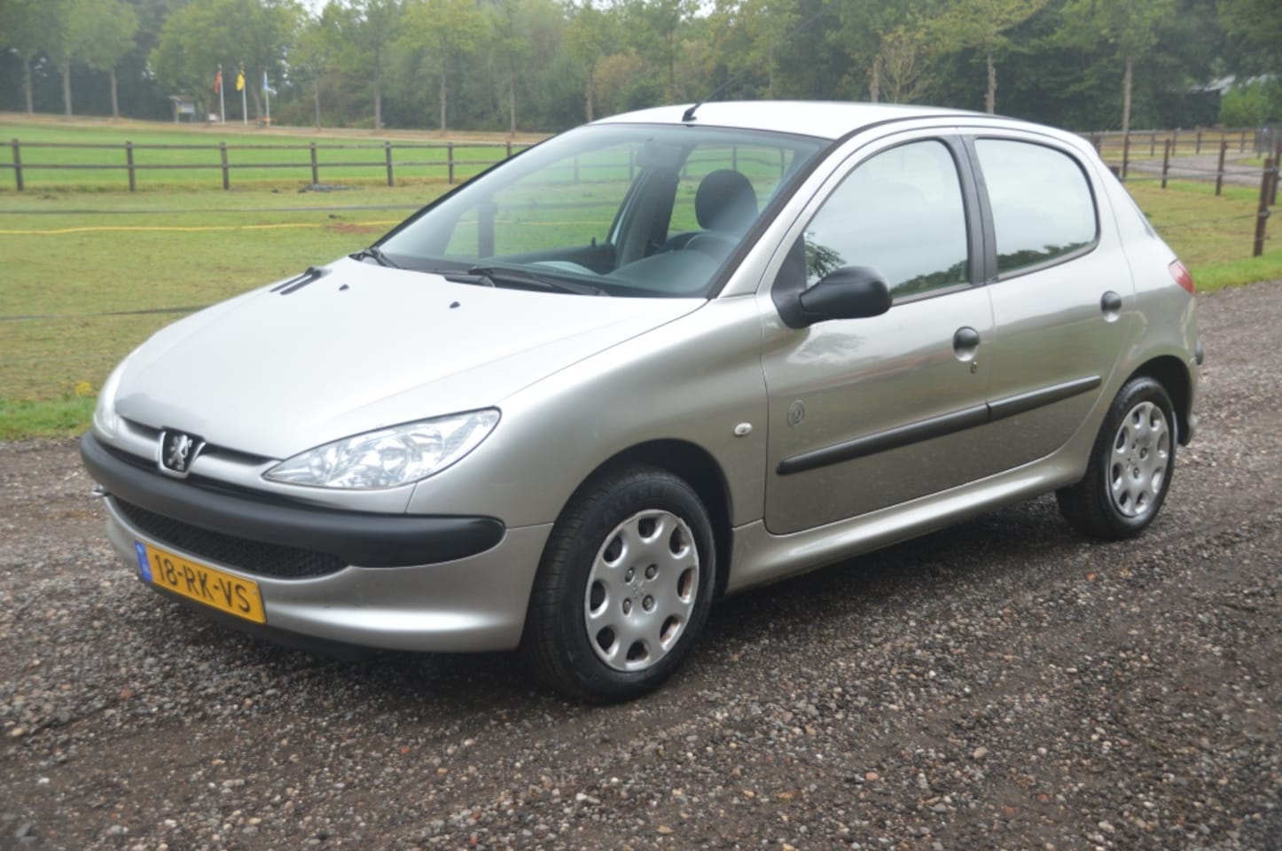 Peugeot 206 - 1.4 X-Design 5 deurs APK Juli 2026 - AutoWereld.nl
