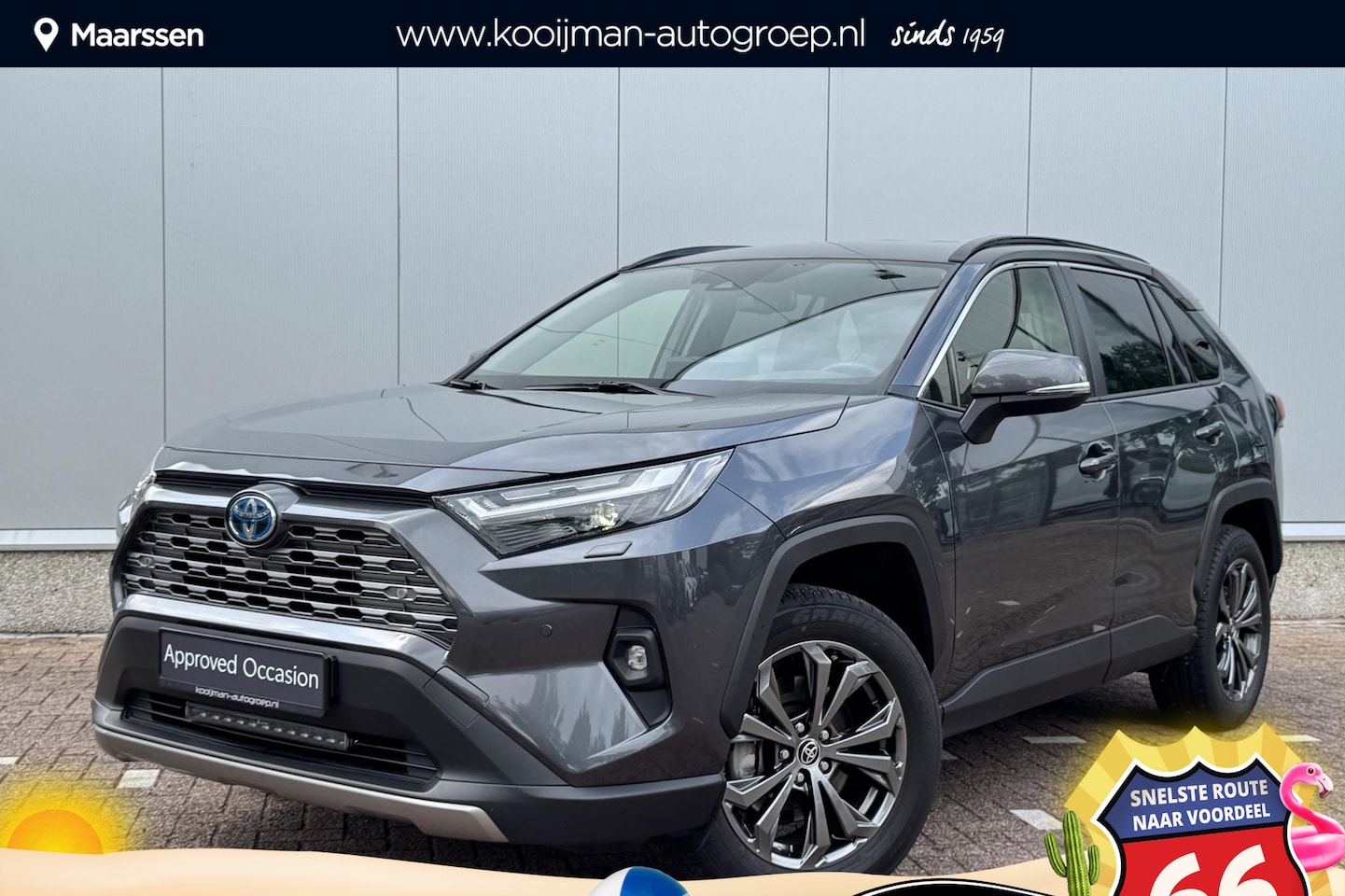Toyota RAV4 - 2.5 Hybrid AWD Executive Navigatie, Stoel- & Stuurwielverwarming, Lederen bekleding, Seat - AutoWereld.nl